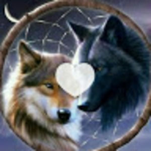 Meet your Posher, Tom ya